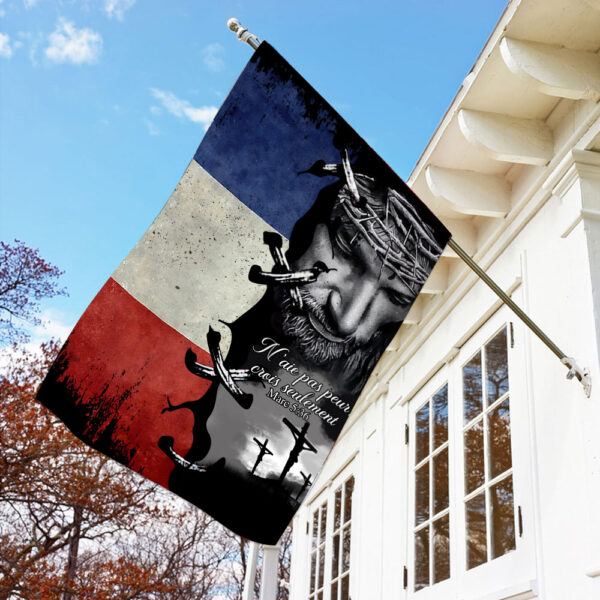 jesus french flag